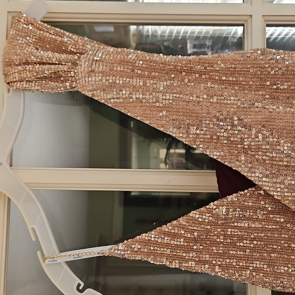 Sequin Maxi Dress in Champagne/Bridesmaid/Evening Wear